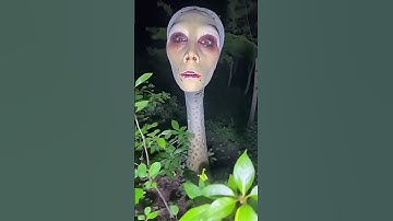 Places On Earth That Don