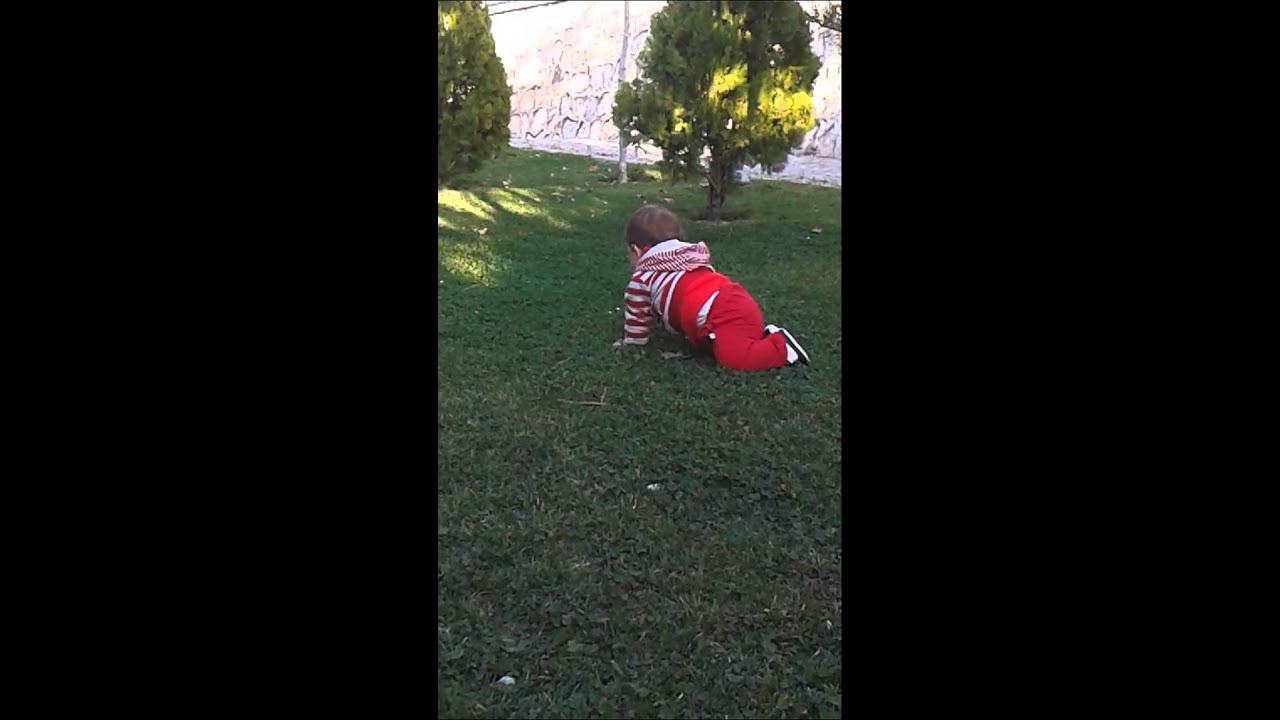 Bebek firarda YouTube