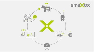Product video | The smaXtec health system (US Version)