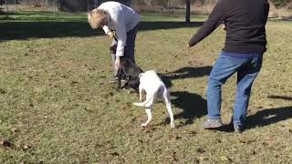 Millie And Reily Female Intro