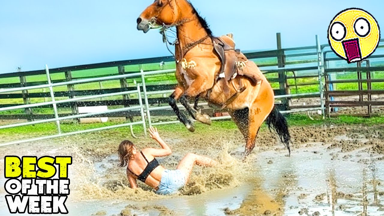 Instant Regret Fails Compilation 2025 | TOTAL IDIOTS AT WORK #19 | Funny & Hilarious People Life