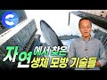 과학자들이 자연에서 답을 찾는 이유는 뭘까? | 생체모방기술