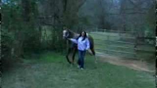 Celebrity Amber Gerard at home in Sweet Home Alabama! Net Worth