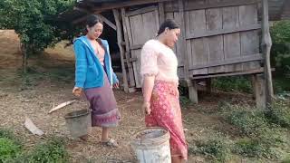 Lo Peb Mus Saib Nkauj Hmoob Toj Siab Pub Npua O 30032022