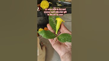 25 अप्रैल प्रदोष के दिन कार्य सफलता लक्ष्मी वृद्धि इच्छा पूर्ति का अचूक उपाय #प्रदीपमिश्राजी #शार्ट