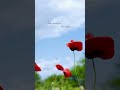 #1 Seed | Possibility (#Nature's Way)