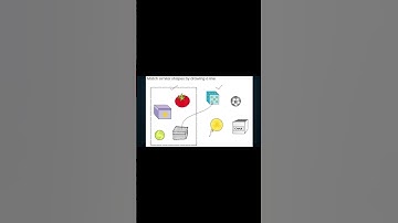 SIMILAR Shapes|Exercise| MATH|Chapter1|Shapes & Spaces|part 2|#math #exercise #similarshapes #ncert