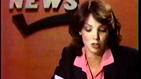 WFTS Channel 28 newsbreak - Andrea McDaniel