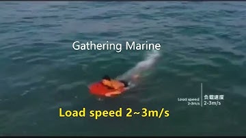 Wireless Remote Control lifebuoy Intelligent Water Rescue Robot