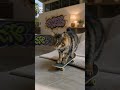 L.A.skate park vibe