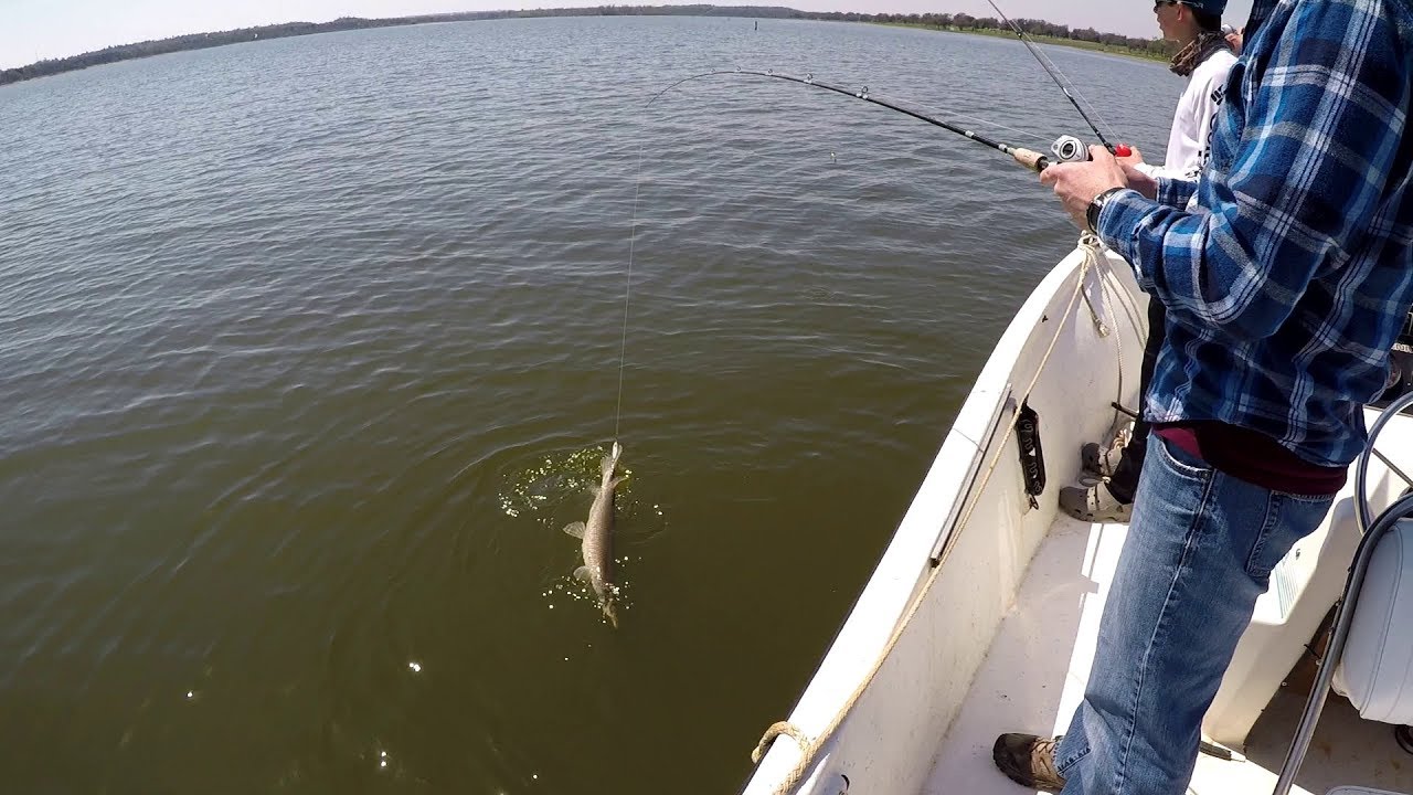 He Caught a Rare Fish! (Lake Somerville pt. 2) - YouTube