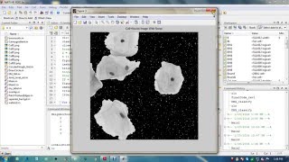 Famous An Improved Joint Optimization of Multiple Level Set Functions For the segmentation of Overlapping c Net Worth