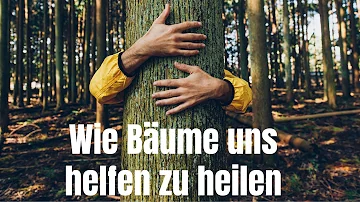 Welcher Baum steht für Heilung?