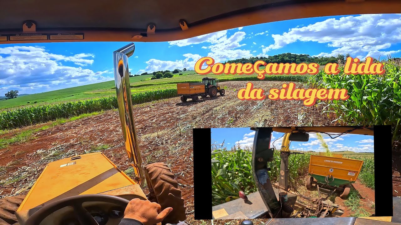 1º dia fazendo silagem