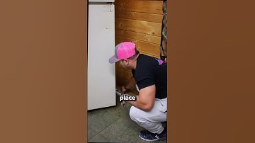 Sticky traps are the best way to make sure you never get an infestation of cockroaches or any other