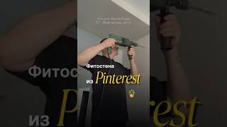 В перерывах между росписью одежды #custom #растения #фитостена #хобби