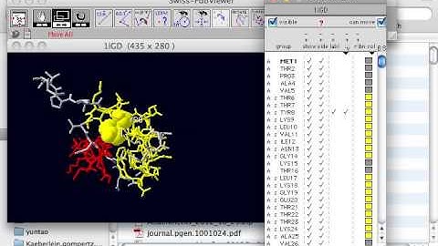 Visualizing protein structure in SwissPDBViewer (1)