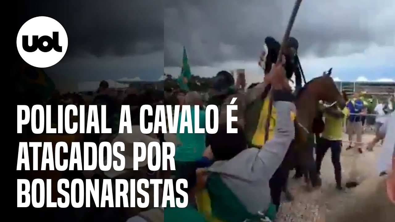 Conduta de policiais que atiraram em cavalos será apurada