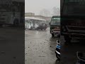 GAYA Ji.#news #viral #treending #post #subscribe #grow #sameer #watercolo#1m