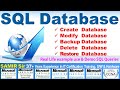 Sql database learn everything to create modify adddelete column backup  restore database