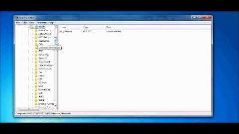 Windows 7 | Registry Editor | Deleting Start Up Programs
