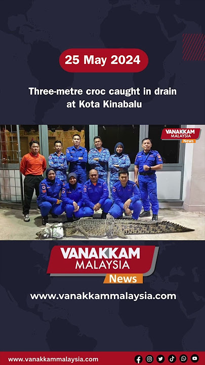 25/05/2024: Three-metre croc caught in drain at Kota Kinabalu