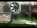 Grow Box Guide: How to Build a Grow Box Grow Box Guide: How to Build a Grow Box