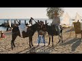 MY BIG FAT GREEK WEDDING 3 - "Donkey" Official Clip - Only in Theaters This Friday