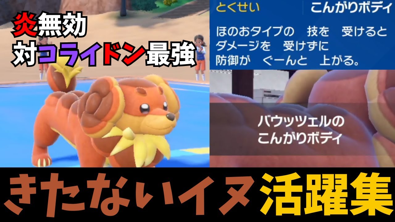 コライドン相手に無双する「きたないイヌ」を見て笑う加藤純一【2024/05/06】