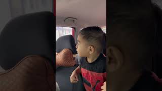 Man Feeds Siamang Monkeys From His Car Window