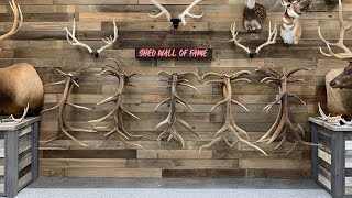 The "SHED WALL OF FAME" is Official NOW! Plus, Rat Trap Update! Content