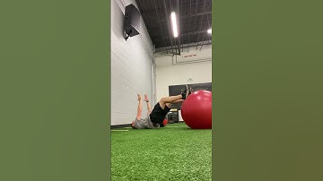 Swiss ball hamstring roll out