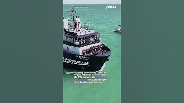 Vaquita: World’s rarest marine mammal captured on video after extinction fears | #yahooaustralia