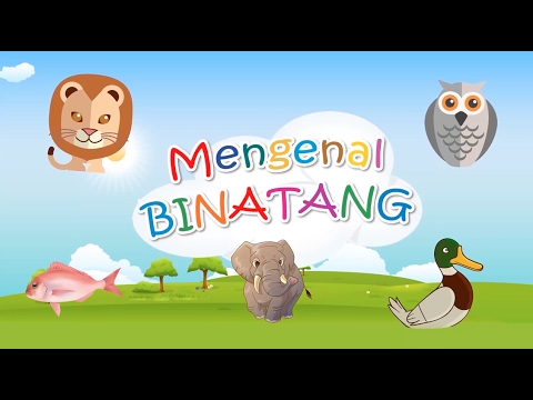 Mengenal Binatang  Bentuk  dan Angka Untuk Anak dan Balita 