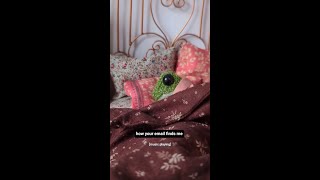 Booked And Busy being Cozy indiarosecrawford