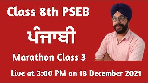 Class 8 Punjabi Revision Class 3 8th Class Punjabi Paper