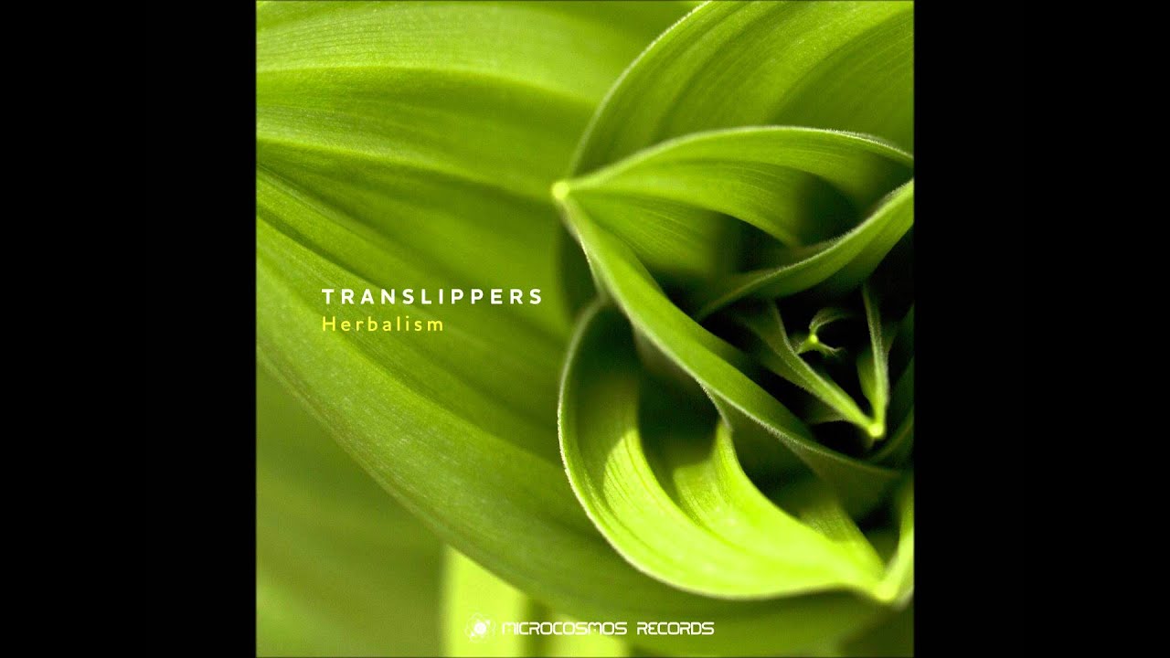 Translippers - Herbalism [Full Album]