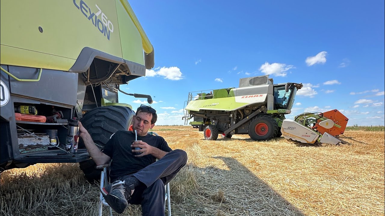 Domingo de trigo 🌾