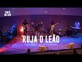 RUJA O LEÃO   ESPONTÂNEO - FHOP MUSIC - Talita Catanzaro (AO VIVO CORTE IPRCM)