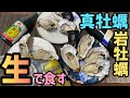 【生牡蠣】1個腐ってた！？おすすめの調味料をご紹介！