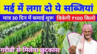 May me konsi sabji Lagaye | मई में लगाई जाने वाली सब्जियां | vegetables to grow in May | hindi