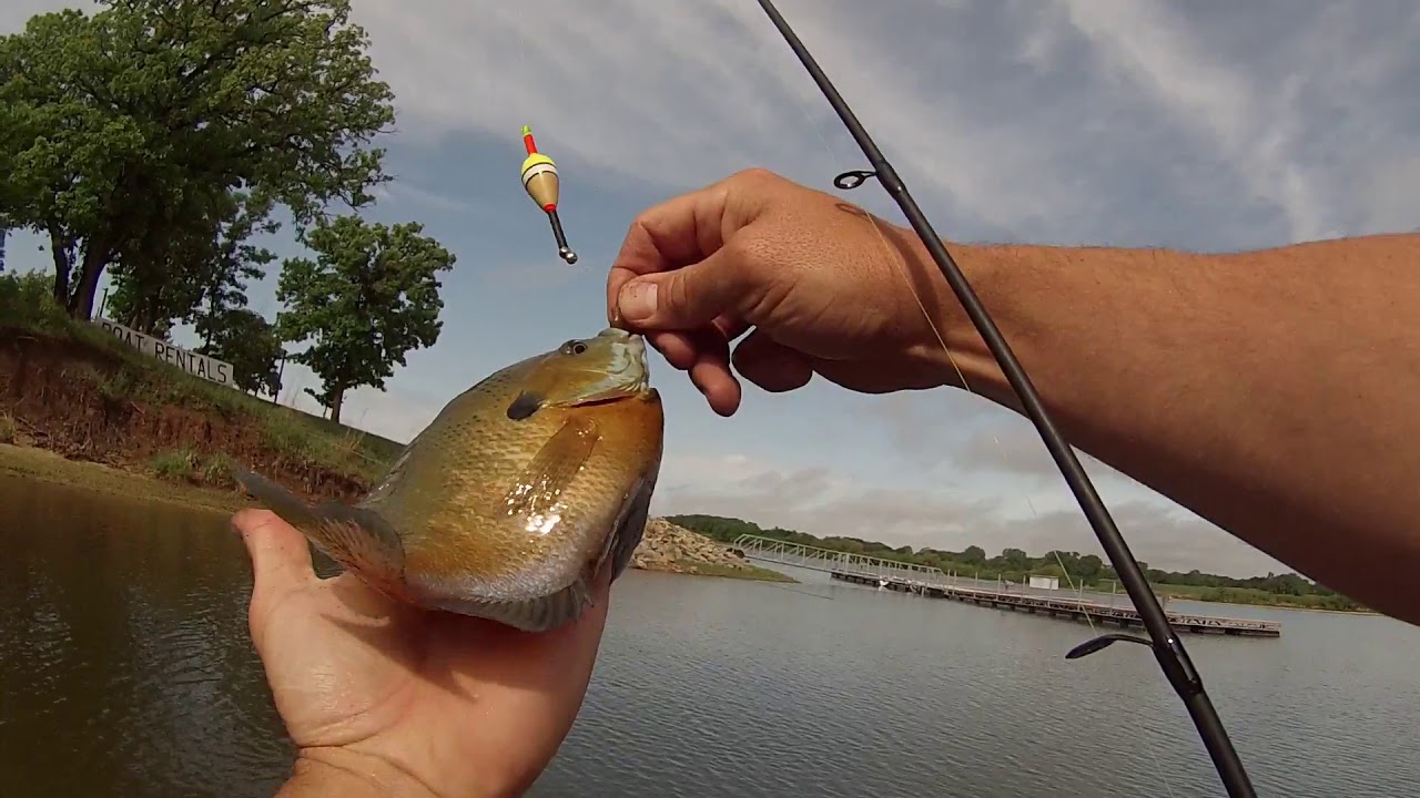 Milford Lake, KS Crappie and Bluegills YouTube