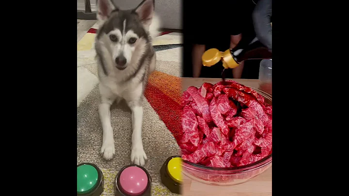 The hesitation she had to answer the question 😂😂😂  #doglover #dogs #smartdog #pets #truthordare