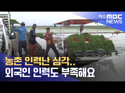 외국인 <strong>인력도</strong> 부족해요 -R (2023.6.1/광주MBC 뉴스데스크)