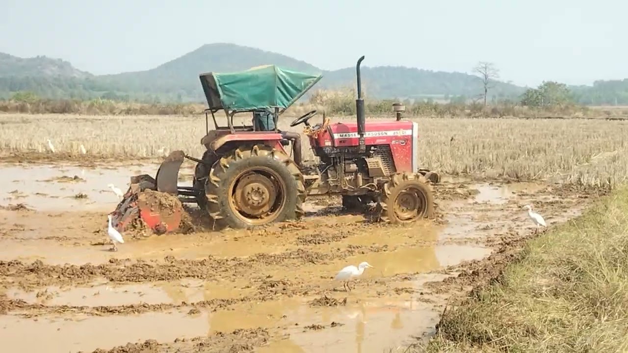 RABI CHASA ARAMBA JAY KISHAN,JAY JAWAN