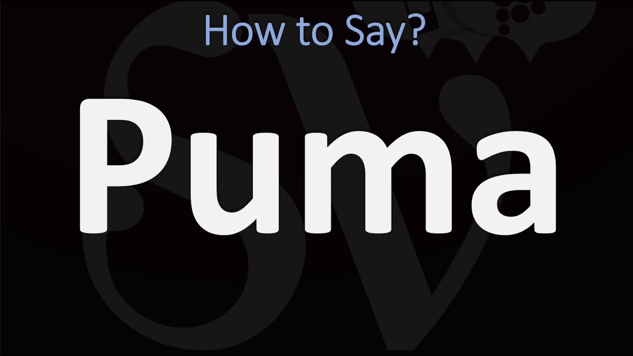 Adoración Ciudad precedente How to Pronounce Puma? (2 WAYS!) British Vs American English Pronunciation  - YouTube