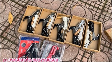 KÉO CẮT TỈA CÀNH TRÊN CAO SẮC VÀ THÍCH NHẤT