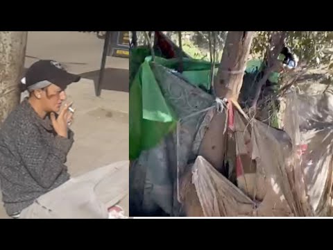 أول فيديو لمروة كومبارس الحاج متولي عايشة في عشة
