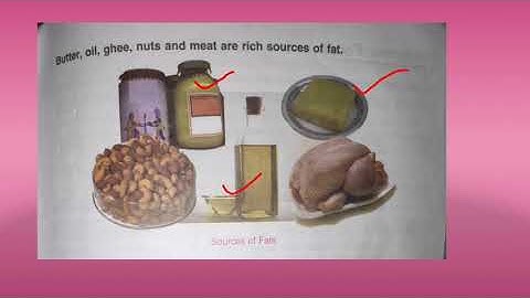 Dav class-4 Ch-7 Food (Reading and Explanation) Part-1