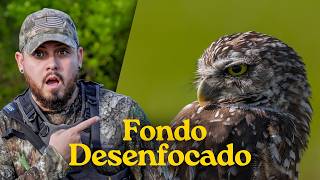 Cómo lograr FONDOS DESENFOCADOS sin usar Lentes Primes costosos📸💡